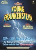 Young Frankenstein