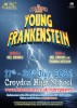 Young Frankenstein